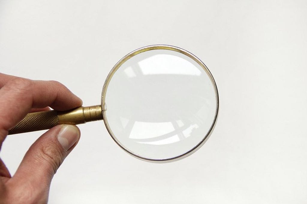 Hand holding a magnifying glass, symbolizing investigative and background check services.